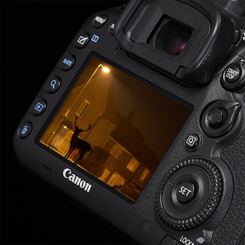 Details in Low Light Photography
